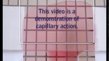 Demonstration of Capillary Action