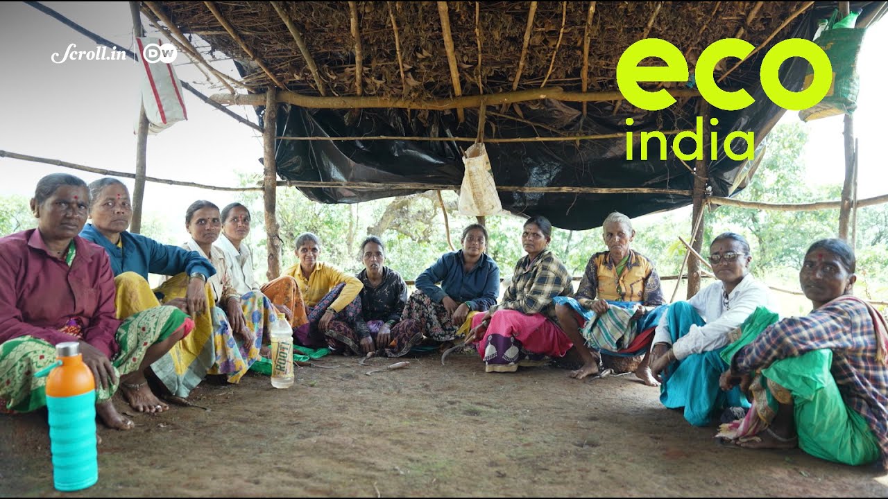 Eco India: How Maharashtra's forestry models are helping make conservation profitable for its locals