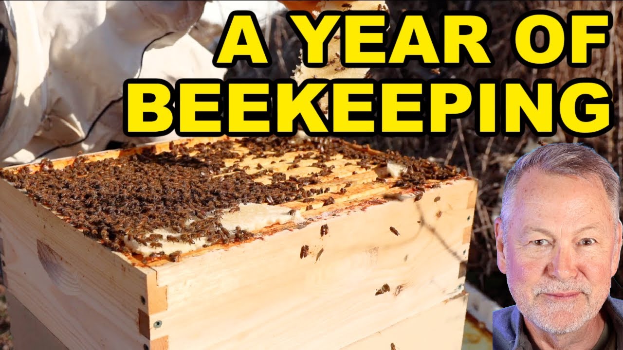 Beekeeping | A Year of Beekeeping Video Compilation