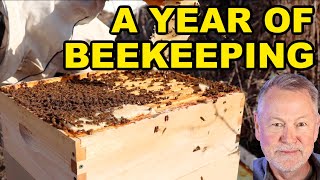 Beekeeping | A Year of Beekeeping Video Compilation