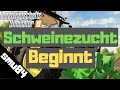 LS19 - PS4 - Die Schweinezucht beginnt