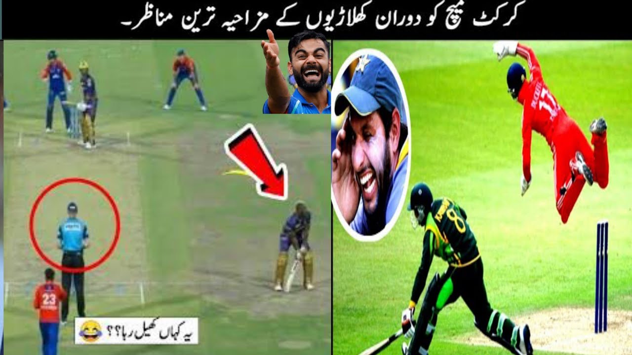 Top 10 funny clips in crickets history||most funny moments in cricket ...