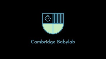 CamBabylab - Head-Mounted Eye Tracking
