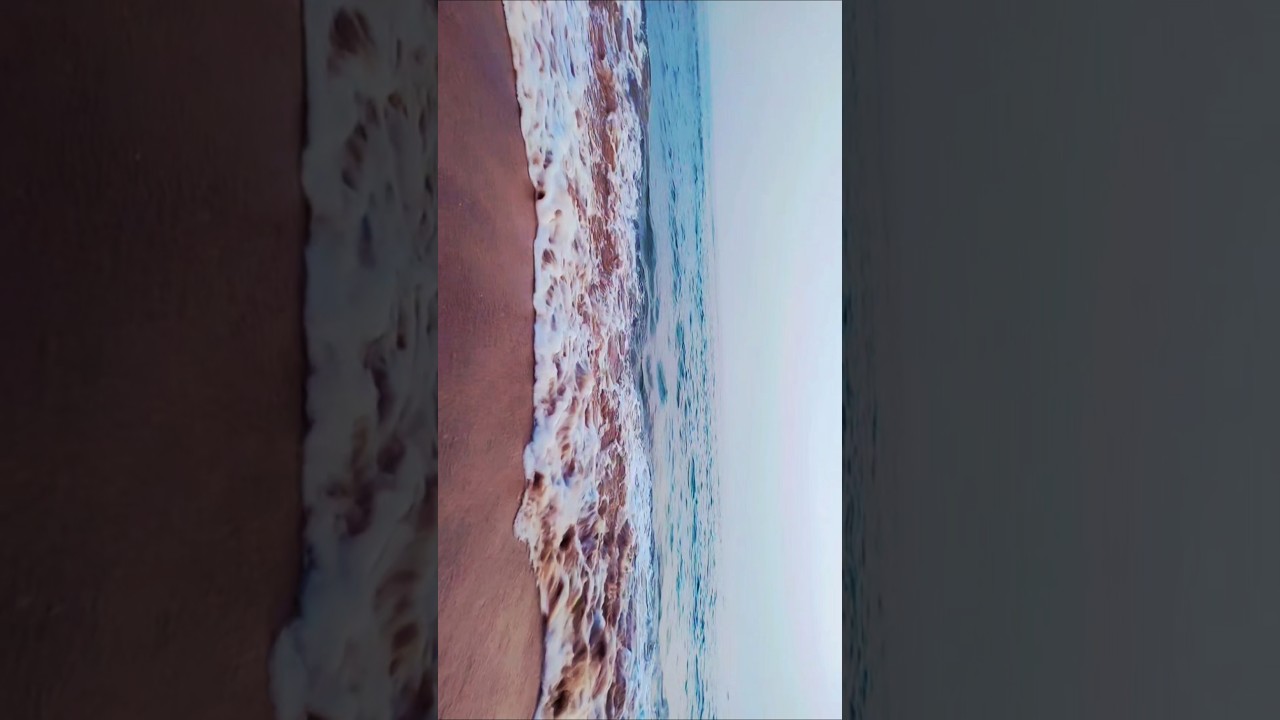 thodi sagar nilai thode shankh ni shimple🌊🐚      #beachvibes #viralshort #shortvideo #calmness