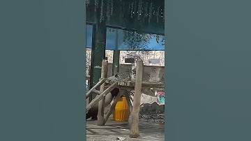 #panda #logistics #usdc #binance #bitget #bybit #coinbase #kucoin #mexc #kraken #okx #bitkub #shorts