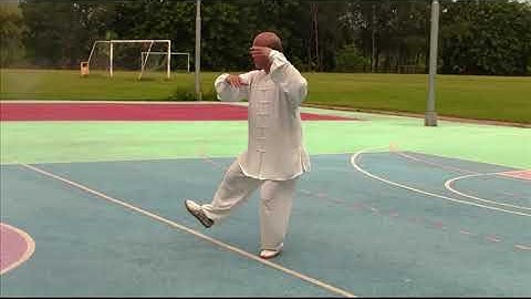 Tai Chi Yang Style 85 徐錦惠師傅 楊氏85式