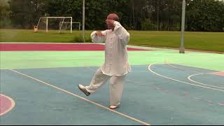 Tai Chi Yang Style 85 徐錦惠師傅 楊氏85式