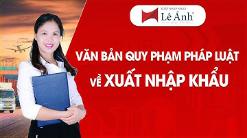 Các Văn Bản Quy Phạm Pháp Luật Về Xuất Nhập Khẩu| Học Xuất Nhập Khẩu | Xuất Nhập Khẩu Lê Ánh