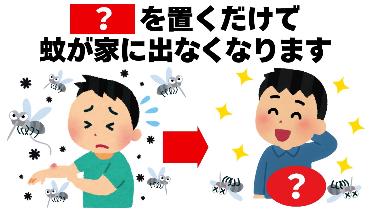 家に出る蚊は全てこれをするだけで撃退できます　毎日を快適にするライフハック雑学