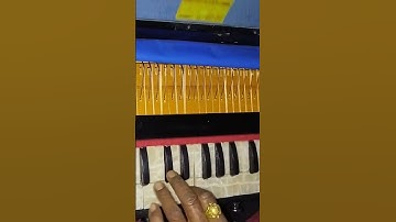 नागिन धुन#shorts #harmonium