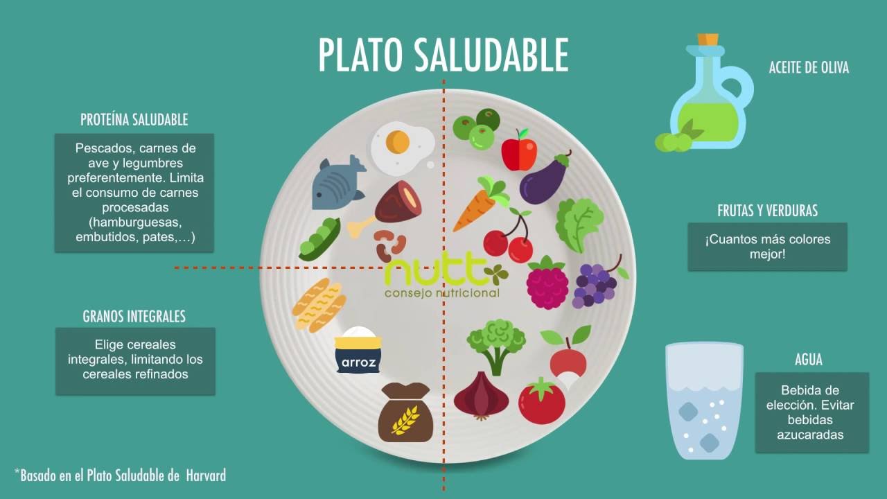 Resultado de imagen de el plato saludable