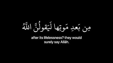 [ ولئن سألتهم من نزل من السماء ماء ] كروما قران شاشه سوداء - القارئ عبدالرحمن مسعد