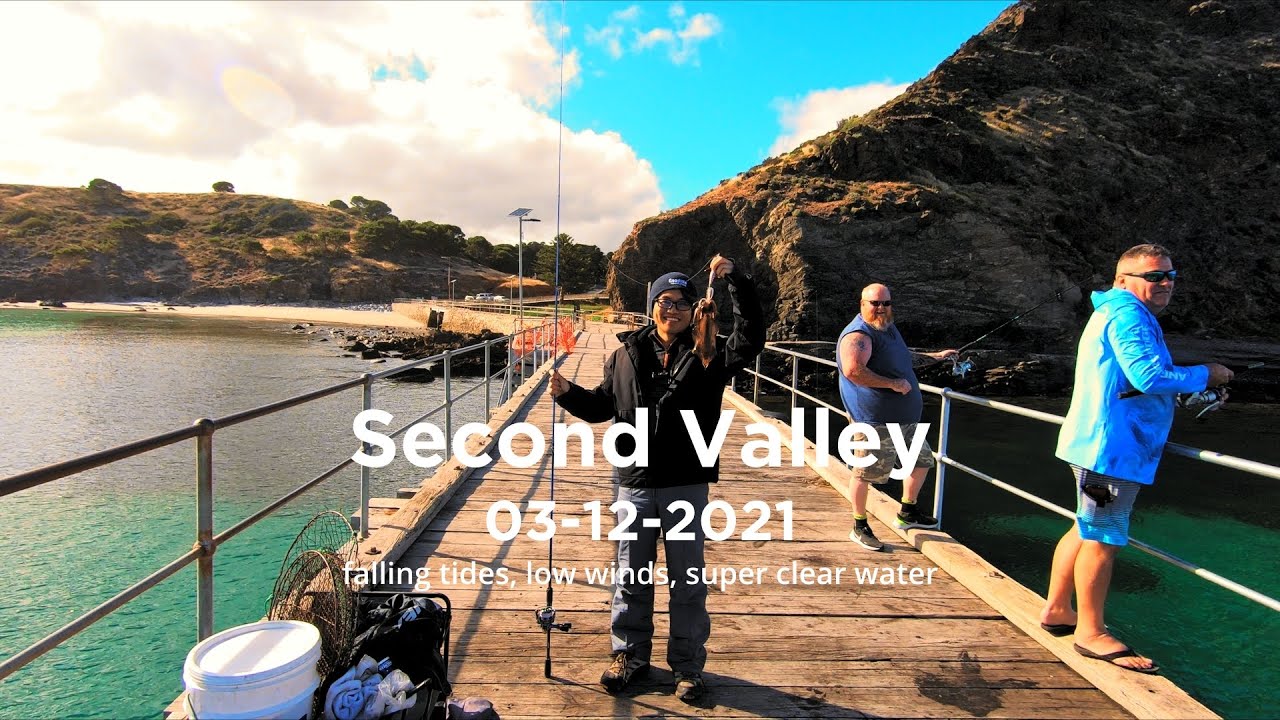 Adelaide Squid Fishing | Second Valley Jetty | South Australia - [03-12-2021]