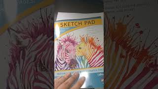 dollar tree sketch pad #art #trending #shortsvideo #fypシ #new #2023 #explore #explorepage #drawing