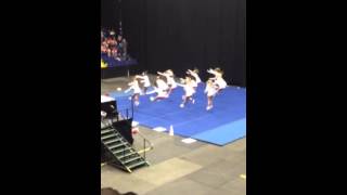 2015 FHS Varsity Cheer