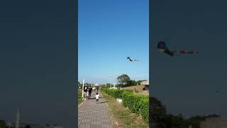 2018110306林默娘公園放風箏(2y9m14d)