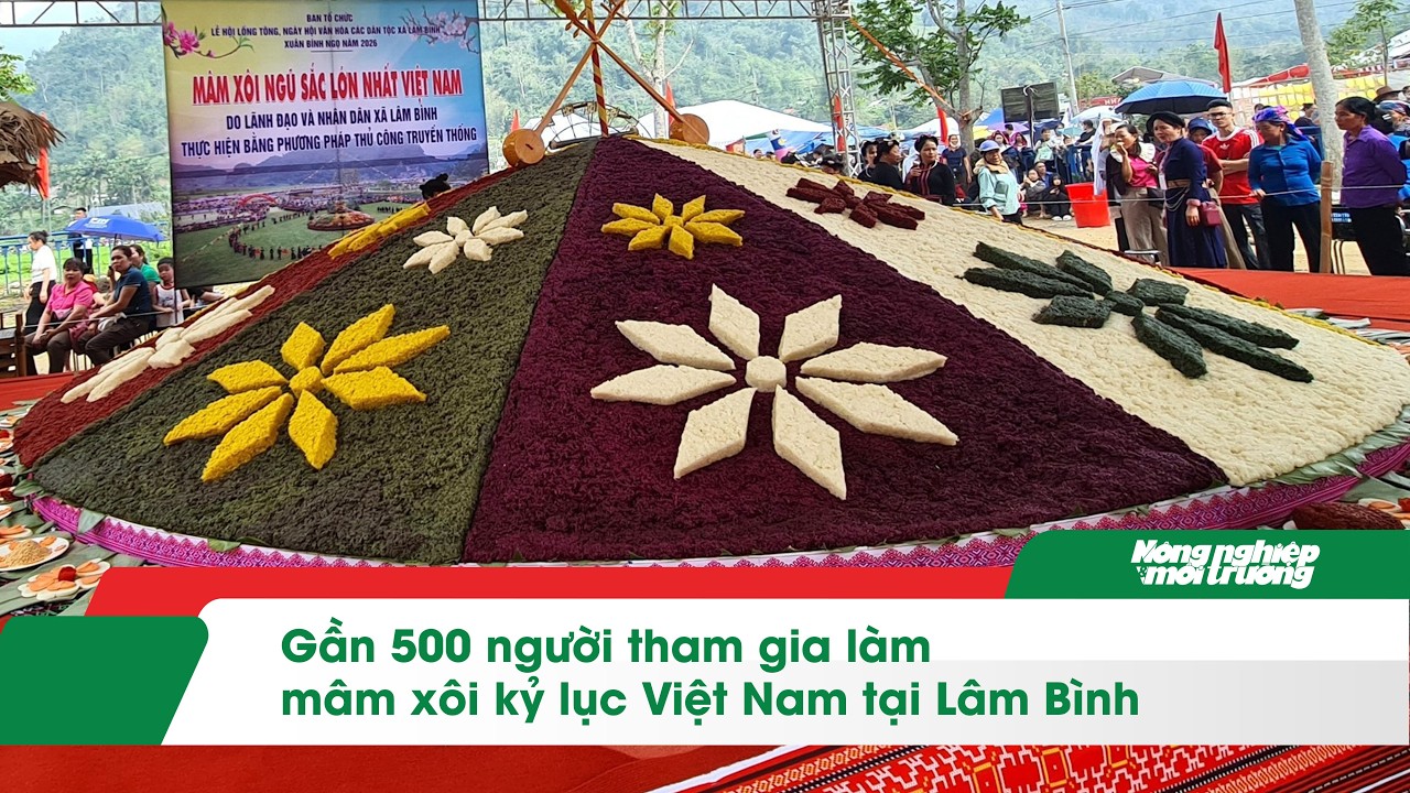 Gần 500 người tham gia làm mâm xôi kỷ lục Việt Nam tại Lâm Bình