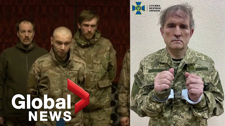 Russia-Ukraine prisoner swap sees Putin ally exchanged for 200 Ukrainian soldiers - DayDayNews