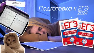 Study with me/Подготовка к ЕГЭ 2024/Подготовка в вечернее время/Русский и биология/Профиль химбио