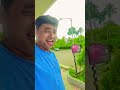 Yeh Dharti Chand Sitare 🙋 ♥️ #dipen5656 #shorts #youtubeshorts