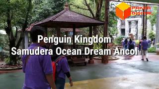 Serunya ke Penguin Kingdom di Samudera Ocean Dream Ancol by Pakar Digital 232 views 3 years ago 4 minutes, 26 seconds