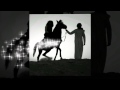 ملكة عمري 