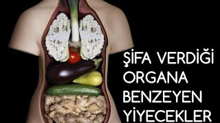 Benzediği organa iyi geldiğini kanıtlayan  yiyecekler