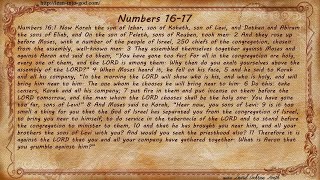 Numbers 16-17
