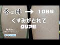 【二の腕ブツブツ】冬の陣保湿で潤ってます！-リアル毛孔性苔癬治療ドキュメント【ザーネクリーム４０日目】