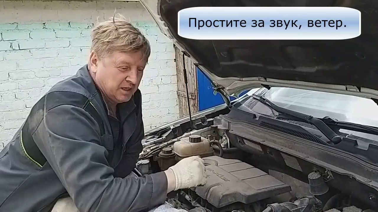 Авто леди или автоледи