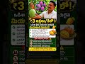కిలో మామిడికి ₹3 లక్షలు — ఒడిశా రైతు పండించిన అరుదైన మియాజాకి మామిడి వెనక అసలు కథ ఏంటి?
