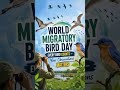 World Migratory Bird Day 2026: Every Bird Counts, Every Action Matters