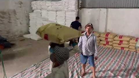 Dịch vụ bốc xếp giá rẻ _ #bocvacgiare _ #cungunglaodong _ #chuyenvanphongtrongoi _ #bocxepcontainer