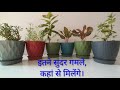 5 colourful special गमले। Home decoration