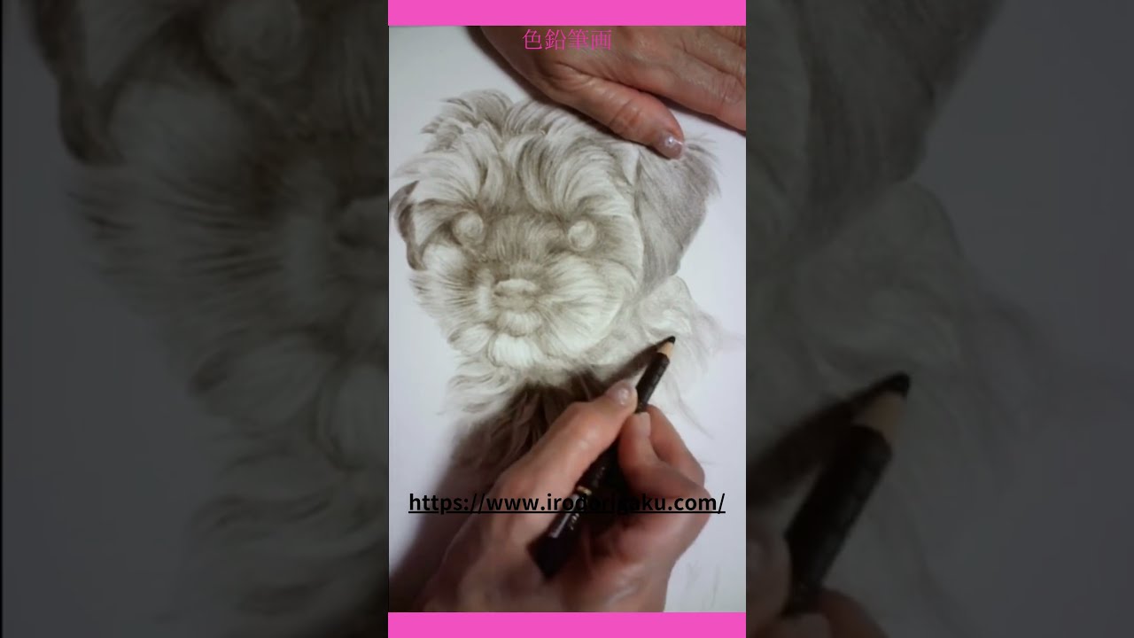 りんねページです。色鉛筆画　犬の絵 りんねページです。色鉛筆画 犬 57f1fe6d35ece94bfc430c493b0a90