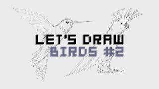 ✏ LET&#39;S DRAW | Birds #2