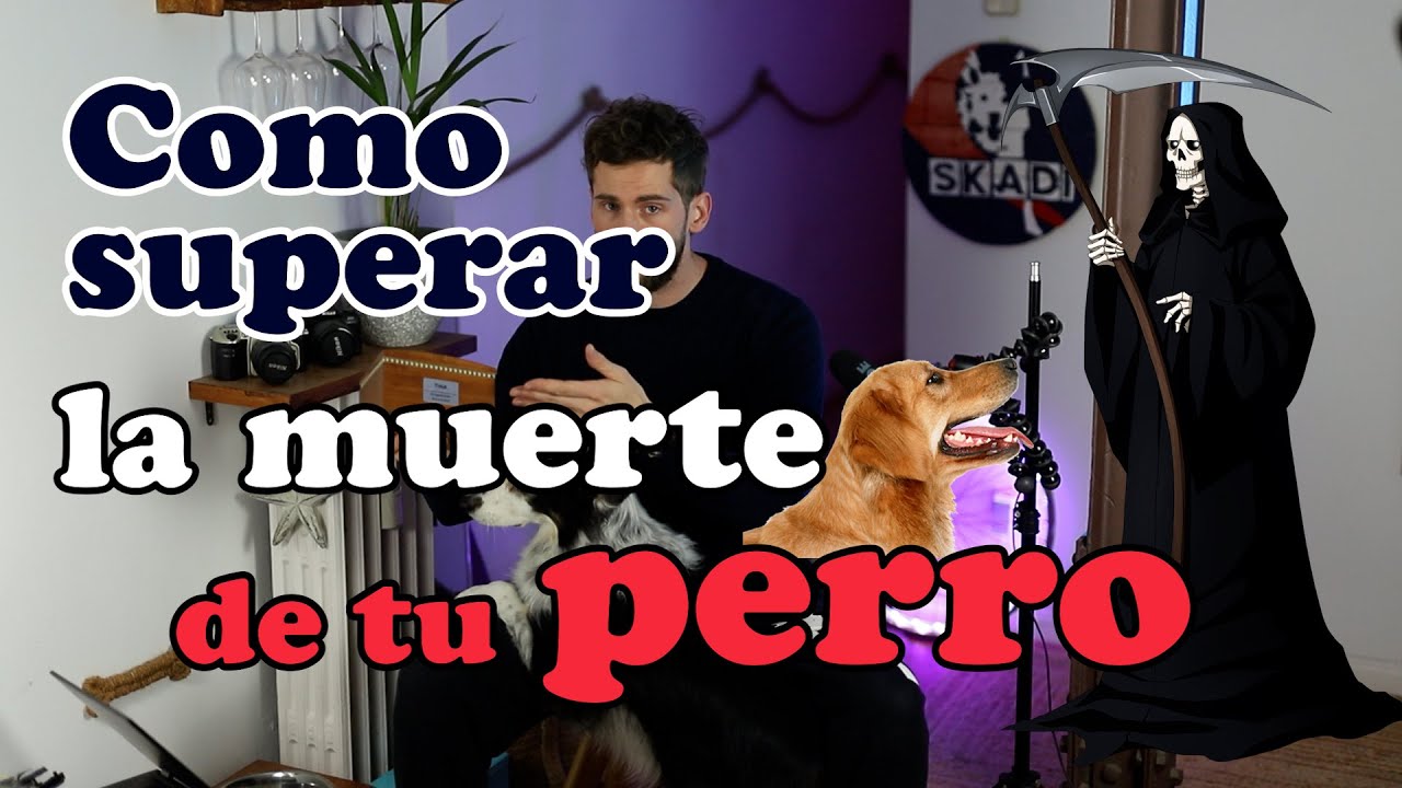 Como superar la muerte de tu mascota.. - YouTube
