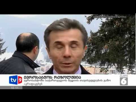 ახალი 6 | ევროსაბჭოს რეზოლუცია | 25.01.13