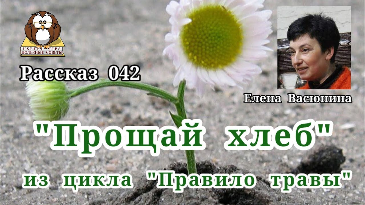 Цветочные советы от елены