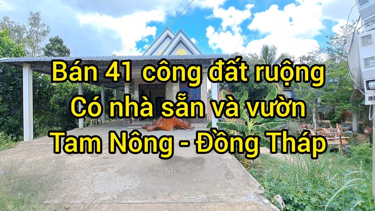 bán 41 công đất ruộng có sẵn nhà nóc thái vườn cây ăn trái tại đồng tháp