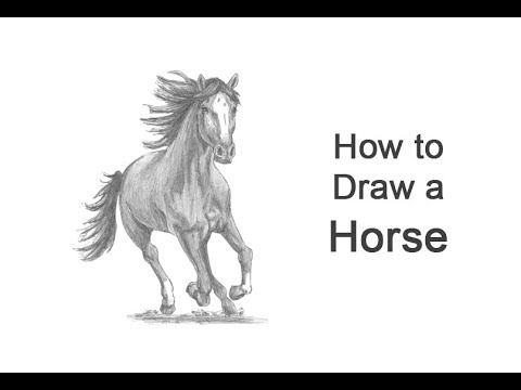 How to Draw a Horse Running