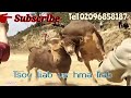 Nyuj Sib Nrau Hnub Tim 2 3 2025Ej Tiag2 Nyuj Sib Nrau Hnub Tim 2 3 2025Ej Tiag2