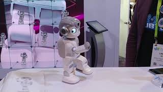 CES 2019 μ§μΊ _μ λΉν
ν¬ μΏ΅νΈνλ λ‘λ΄ 'μνλ―Έλ'