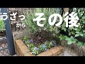 【うざっ】からその後、今はどんな感じ？【シニアVlog】