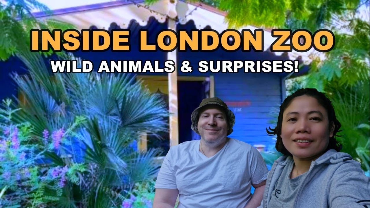 Overnight Stay at London Zoo – Cabin Experience, Dinner & Day Tour! A British–Filipino Adventure