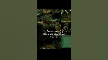 #سورة_الحشر #قرآن #قران_بصوت_جميل #المنشاوي_الباكي