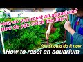 How to reset an aquarium「ADA nature aquarium,tropical fish,fishkeeping,techniques」the maiking