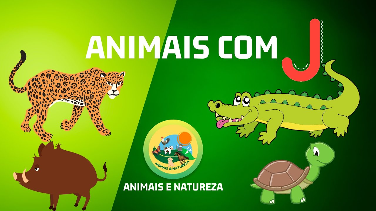 Animais Com Letra J - BINKEDU