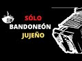 ▶A puro BANDONEÓN  por Jujeños 🎼El mejor folklore Argentino  de Jujuy 🌵🌵