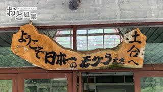 【環境音】日本一のモグラ駅「土合駅（群馬県みなかみ町）」地下要塞ではどんな音がする！？